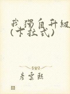 我独自升级漫画(下拉式)封面