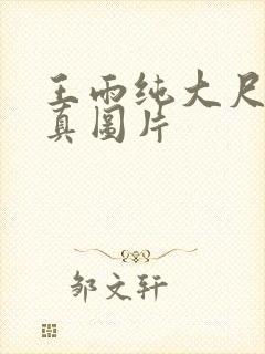 王雨纯大尺度写真图片封面