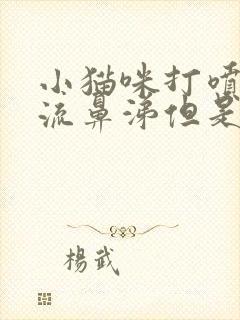 小猫咪打喷嚏没流鼻涕但是精神状态还可以