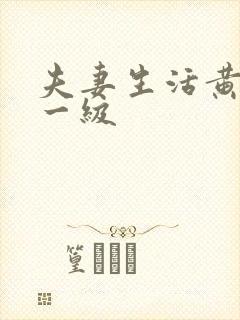 夫妻生活黄色片一级