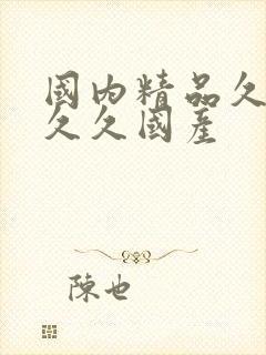 国内精品久久久久久国产