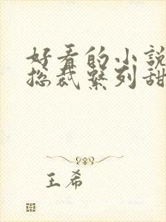 好看的小说霸道总裁系列甜宠文