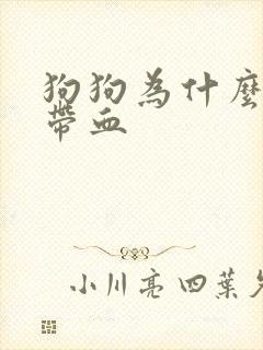 狗狗为什么尿里带血