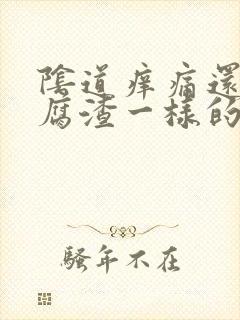 阴道痒痛还有豆腐渣一样的东西封面