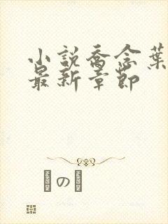 小说乔念叶妄川最新章节