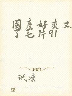 国产好爽又高潮了毛片91