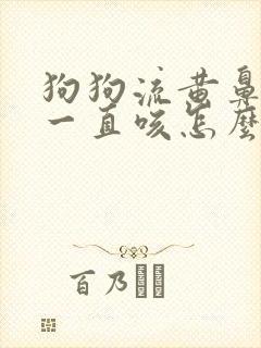 狗狗流黄鼻涕了一直咳怎么办