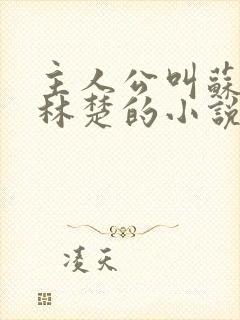 主人公叫苏彻,林楚的小说名字