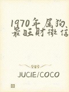 1970年属狗最旺财微信昵称