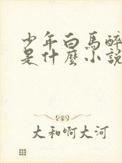 少年白马醉春风是什么小说改编的