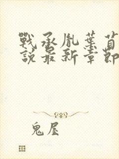 战承胤叶苜苜小说最新章节封面