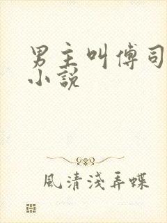 男主叫傅司砚的小说封面