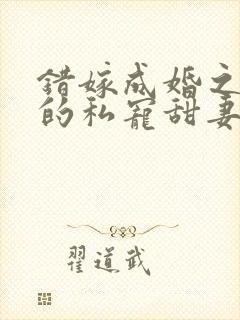 错嫁成婚之总裁的私宠甜妻