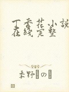 丁香花小说高清在线完整