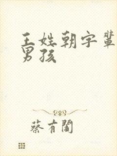 王姓朝字辈取名男孩