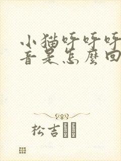 小猫呼呼呼的声音是怎么回事