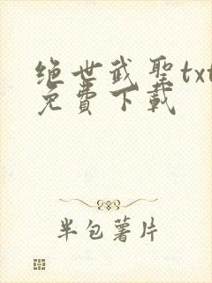 绝世武圣txt免费下载