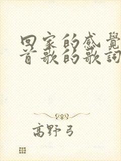 回家的感觉是哪首歌的歌词