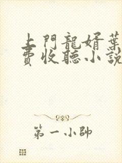 上门龙婿叶辰免费收听小说