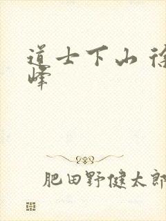 道士下山 徐皓峰