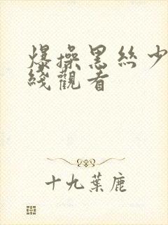 爆操黑丝少妇在线观看