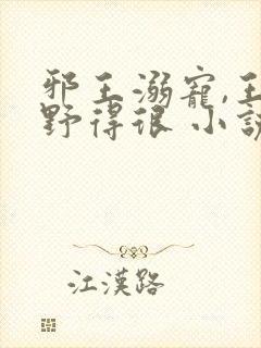 邪王溺宠,王妃野得很 小说