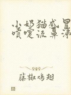 小奶猫感冒了打喷嚏流鼻涕怎么办