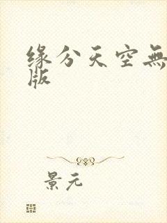 缘分天空无删减版
