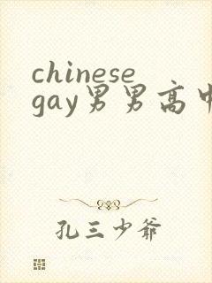 chinesegay男男高中生被无套猛操