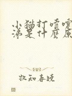 小猫打喷嚏流鼻涕是什么原因封面