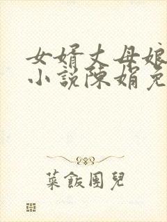 女婿丈母娘言情小说陈娟免费阅读