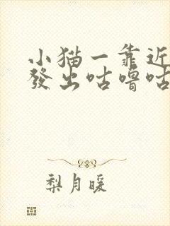 小猫一靠近我就发出咕噜咕噜的声音封面