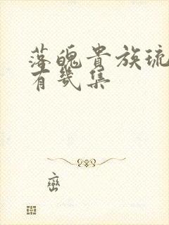 落魄贵族琉璃川有几集