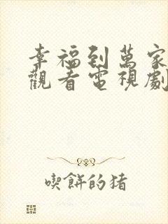 幸福到万家免费观看电视剧全集高清封面