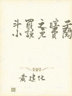 斗罗之瞎子斗罗小说免费阅读