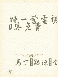 特一营电视剧40集免费