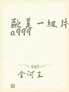 欧美一级片内射a999