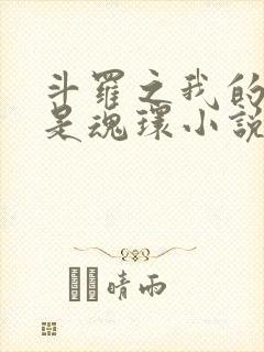 斗罗之我的武魂是魂环小说