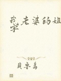 我老婆的姐姐中字