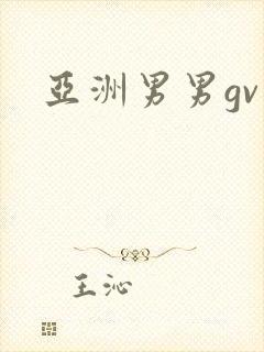 亚洲男男gv网