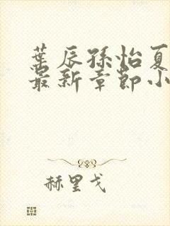 叶辰孙怡夏若雪最新章节小说心