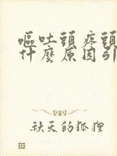 呕吐头疼头晕是什么原因引起的