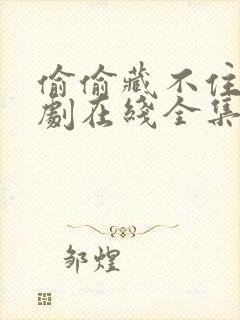 偷偷藏不住电视剧在线全集免费