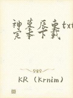 神墓辰东txt完本下载