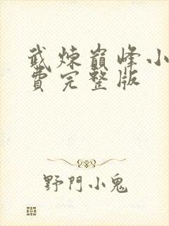 武炼巅峰小说免费完整版