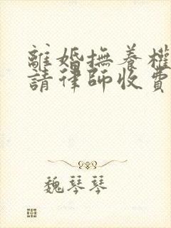 离婚抚养权官司请律师收费