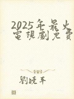 2025年最火电视剧免费观看