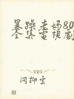 暴躁老妈80集全集电视剧免费观看