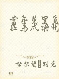 当年万里觅封侯匹马戍梁州什么意思