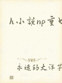 h小说np重口